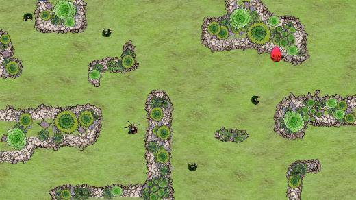 Hatching Dragons