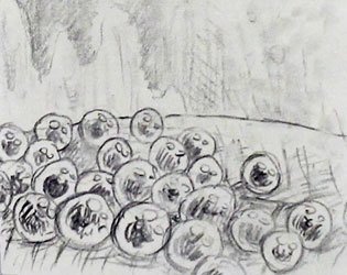 bug eggs