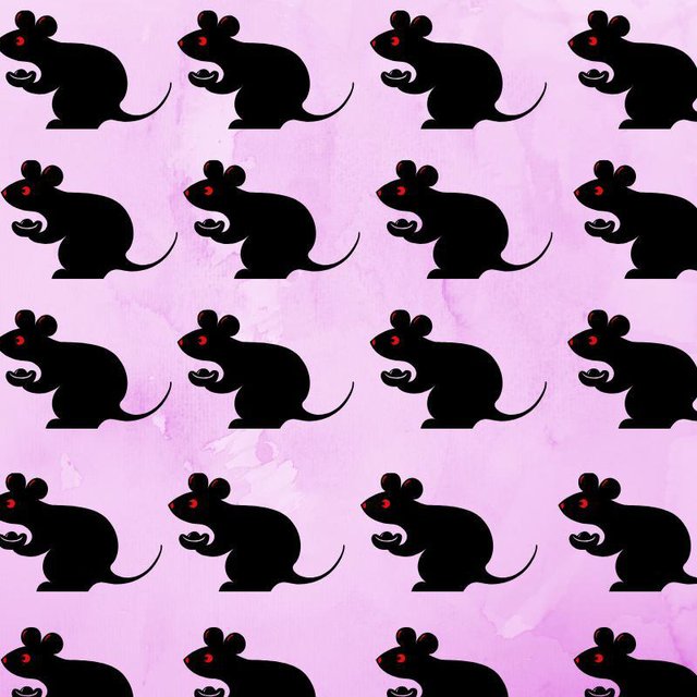 real rat hours