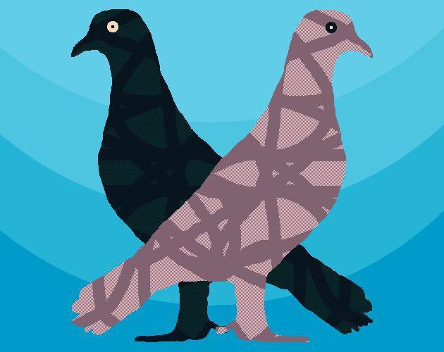 Work so that I can get those beautiful pigeons you darn bees.