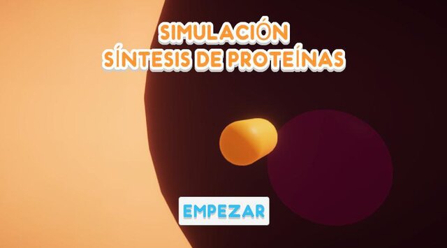SIMULACIÓN SÍNTESIS DE PROTEINAS