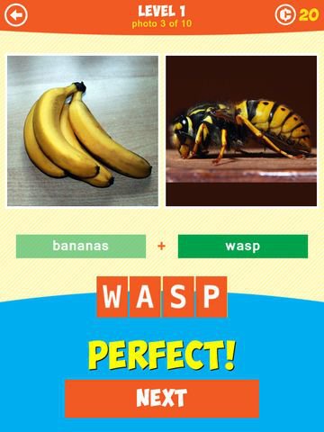 1 Pic Combo: What's the thing?