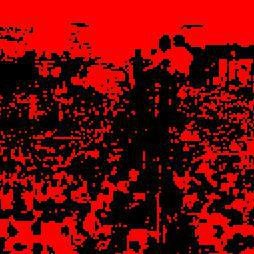 glimpses