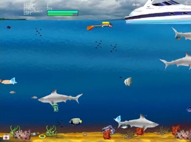 SHARKS!