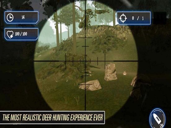 Animals Hunter New World