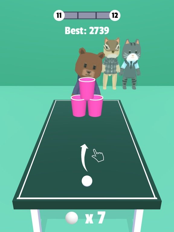 Beer Pong.