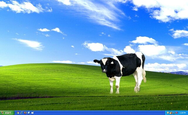 Aliens Vs Cows