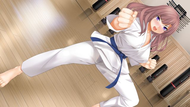 Harem Wars