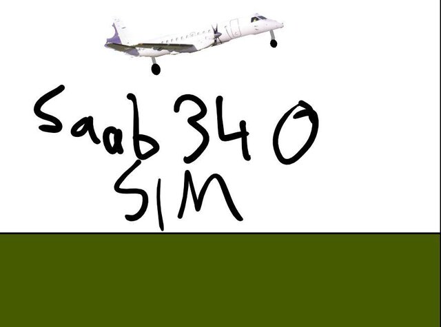 Saab 340 Sim