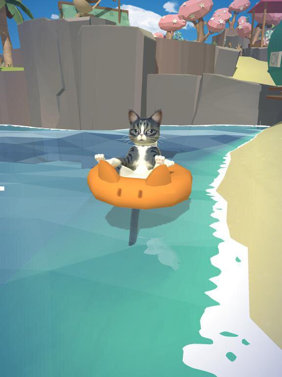 Kitty Cat Resort