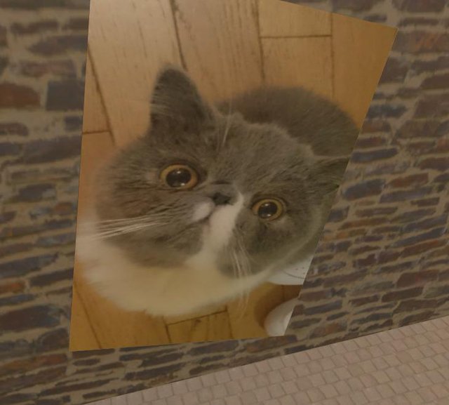 The Obby Escapist
