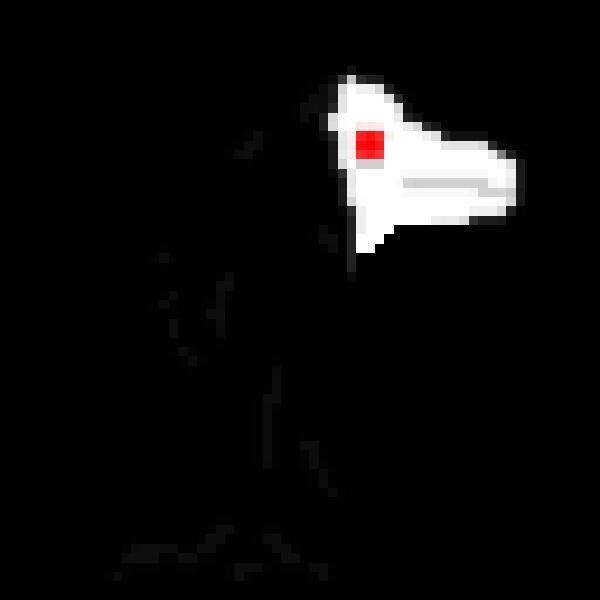 White Raven