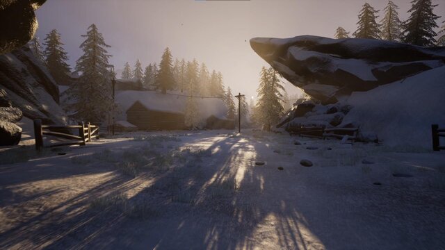 Winter Walking