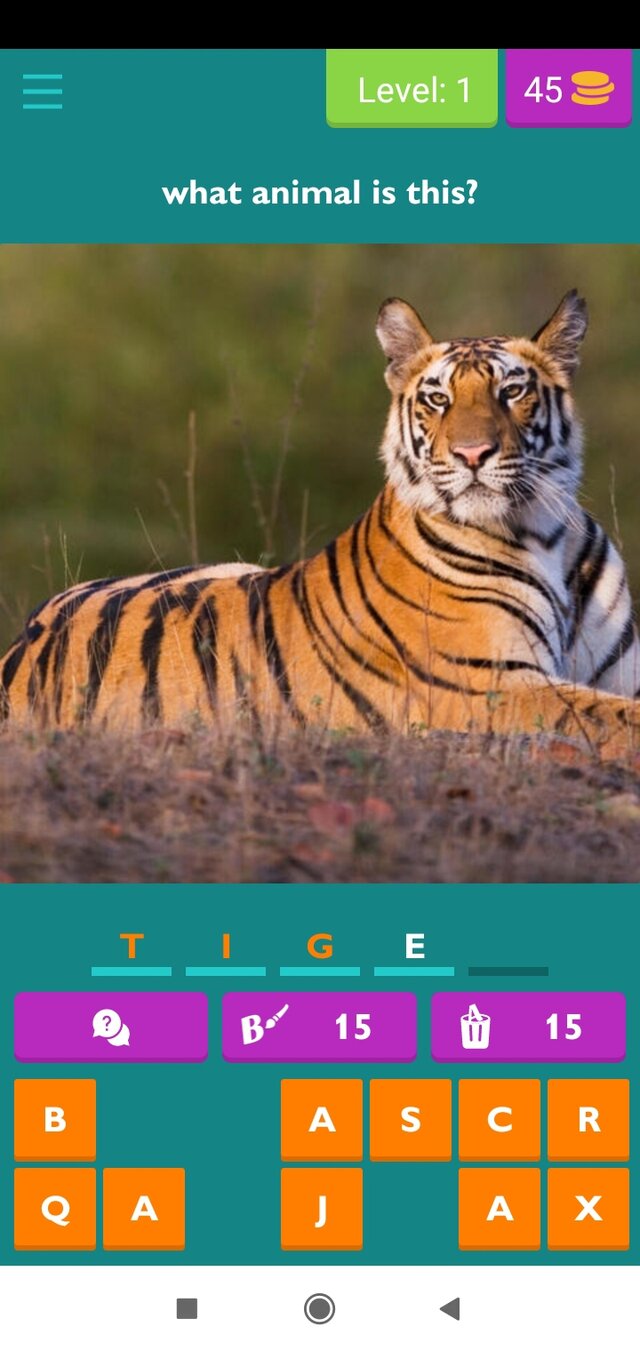 Animals world