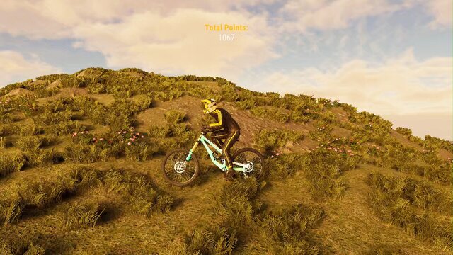BMX Wild Run