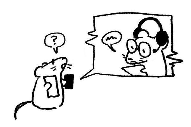 Museum Mice Mix-Up!