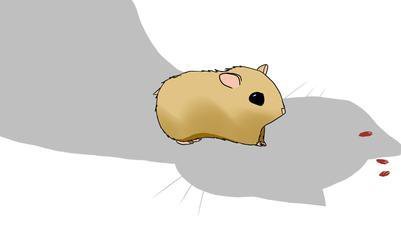 Hamster Cage