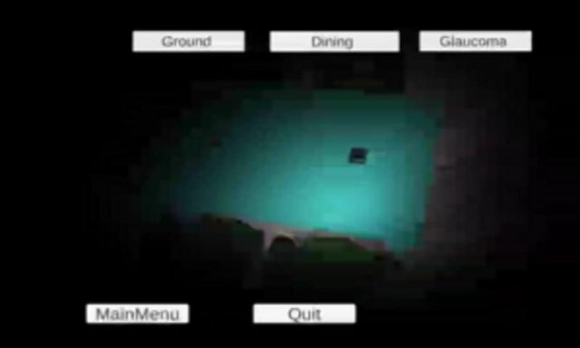 Simulation of Visual Impairments for Architectural Purposes