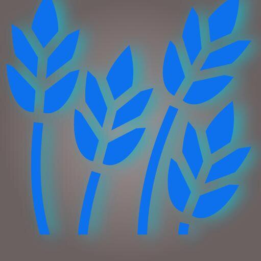 Trying to get rich and famous by growing plants in space