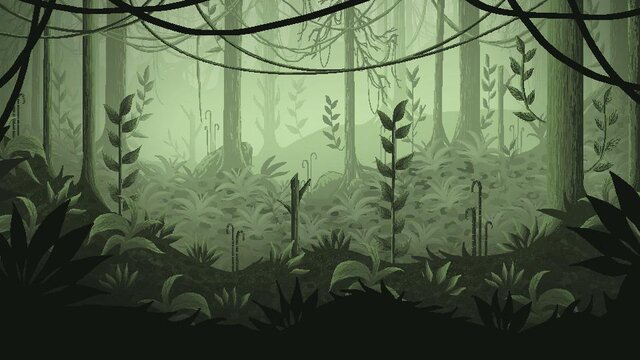Brachi Run