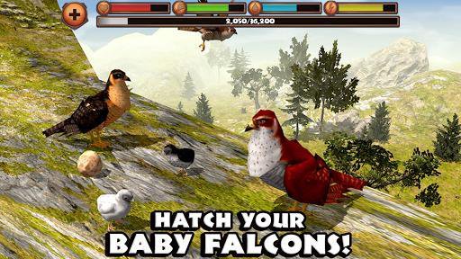Falcon Simulator