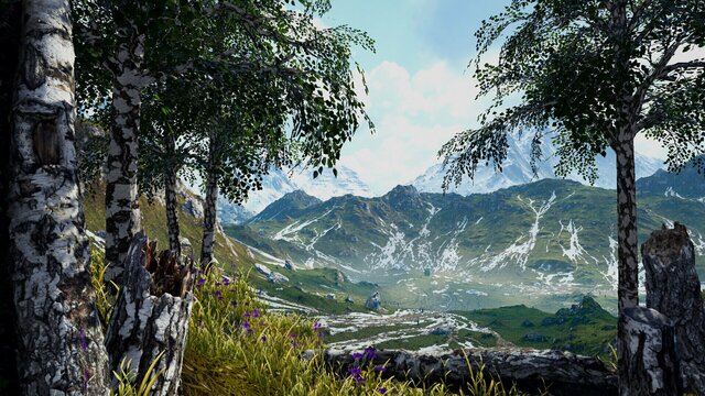 Birch Simulator
