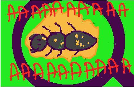 Ant Killer