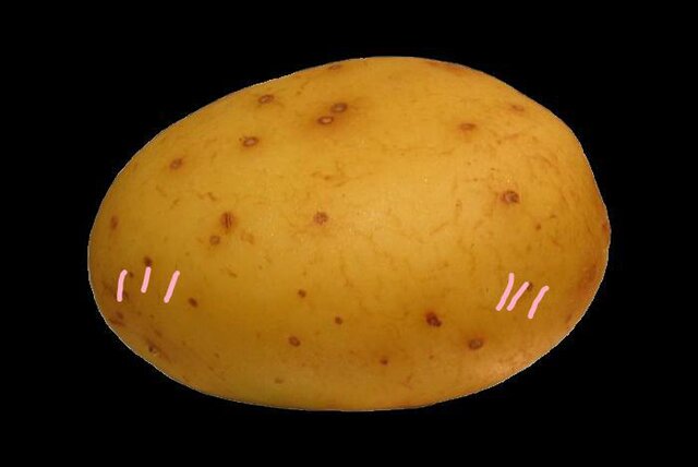 I'm in love with a potato visual novel dating sim