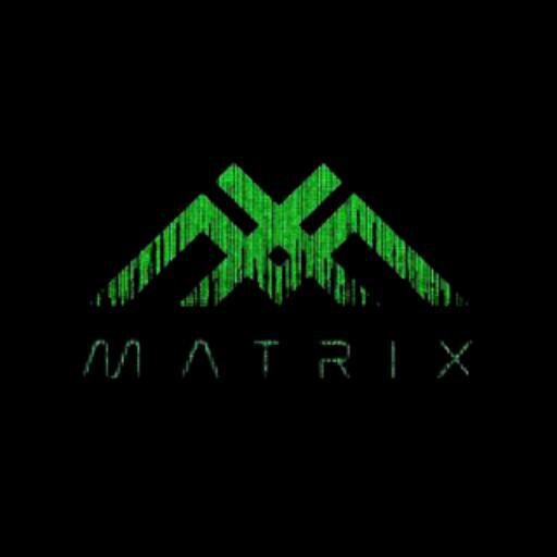 Matrix Racer Web