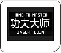 Kung Fu Master - Virtual Thumby