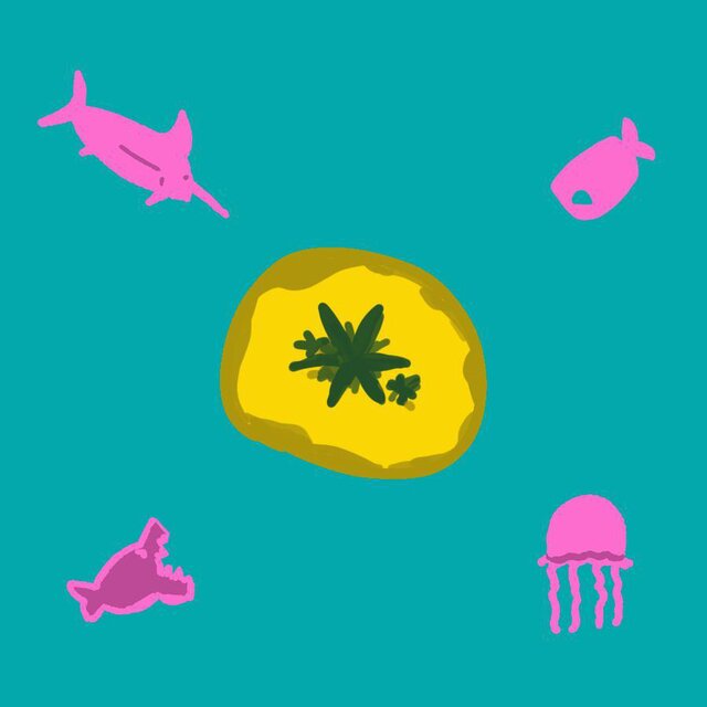Escape the fish