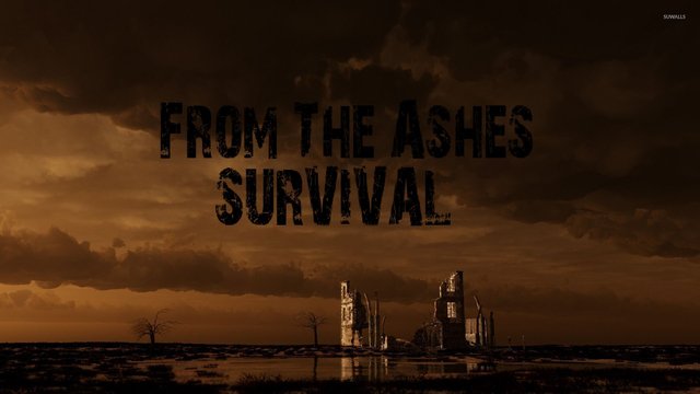 From The Ashes - SURVIVAL