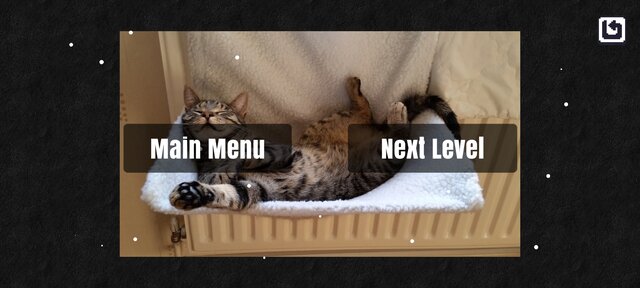 Cazzle - Sleeping Cat Puzzles