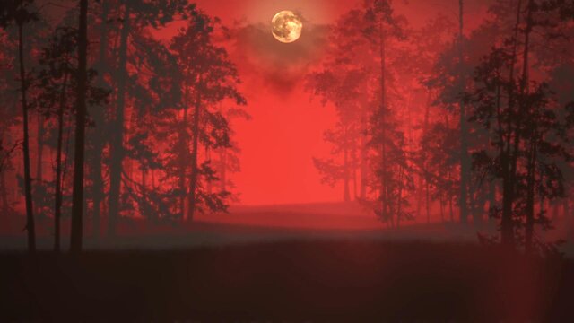 Blood Forest