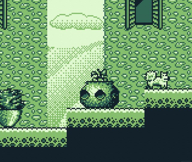 Pistacchio's Many Forms