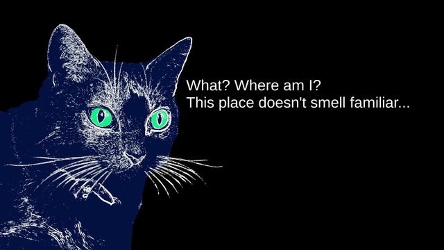 Nyan Lives