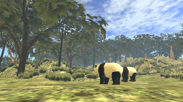 VR World of Pandas