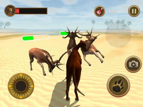 Bird Dog Chase Simulator
