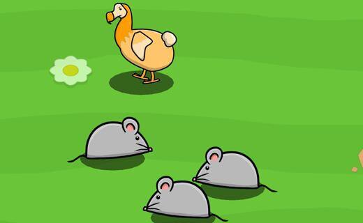 Dodo A Gogo