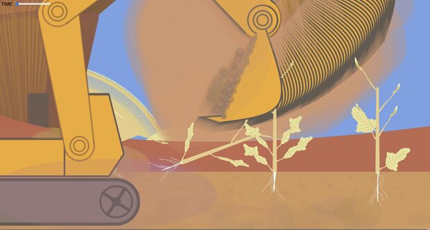 Evolving mustard