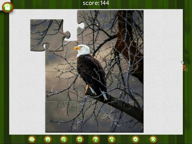1001 Jigsaw. Wild Animals