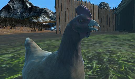 All those Chickens