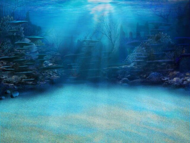 fish.jpeg