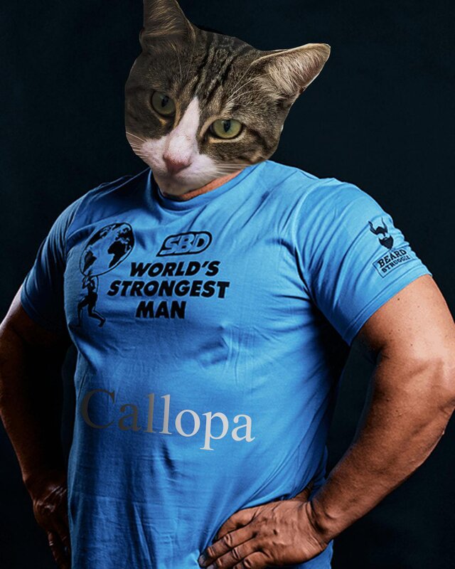 NikoRamp
