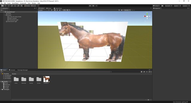 A Really Far Away Horse