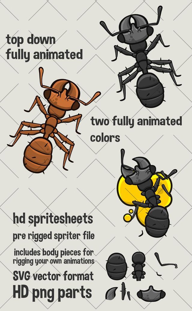 Top down ant