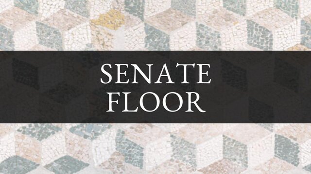 Senate Floor