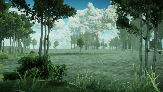 Forest Spring