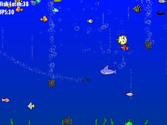 Shark Week