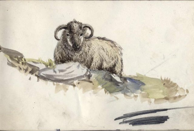 lesbian sheep syndrome